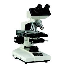 phase contrast microscope